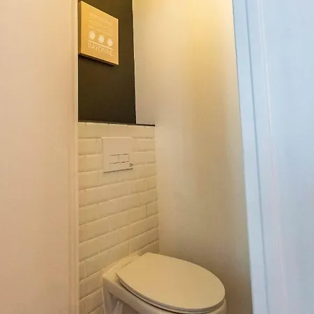 Appartement Magnifique Hypercentre Toutes Commodités Bayonne
